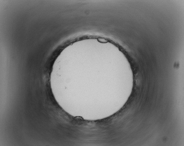 X0000100421495200807032048