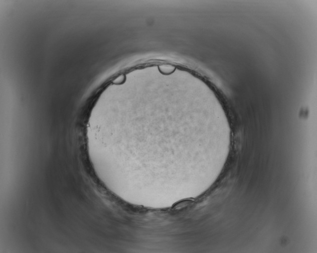 X0000100421496200807032048