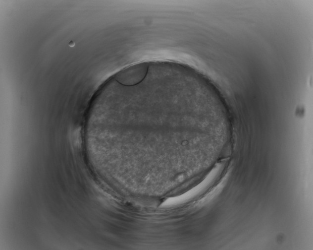 X0000100421497200807032049