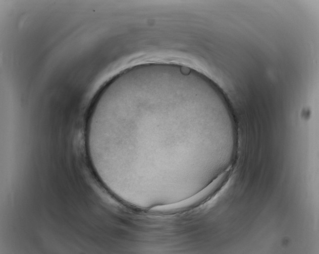 X0000100421498200807032049