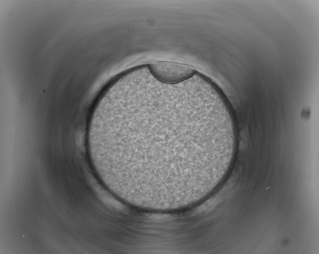 X0000100421499200807032049