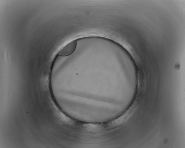 X0000100421500200807032049