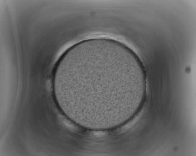 X0000100421501200807032049