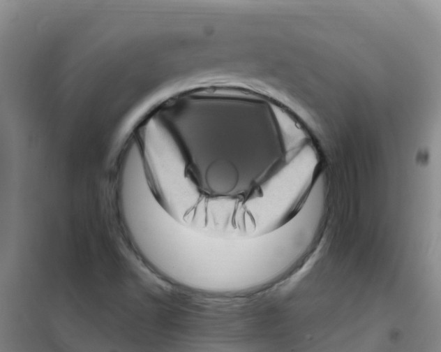 X0000100421502200807032049