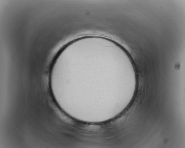 X0000100421503200807032049