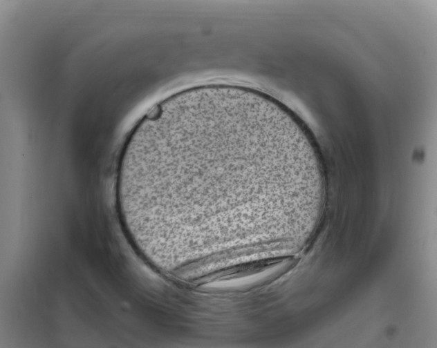 X0000100421504200807032049