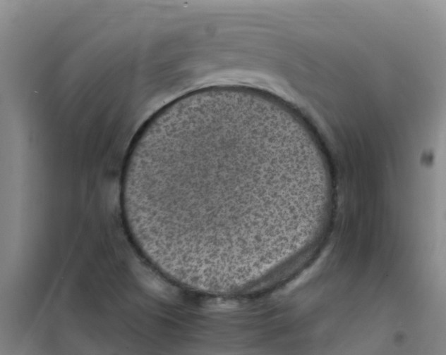 X0000100421505200807032049