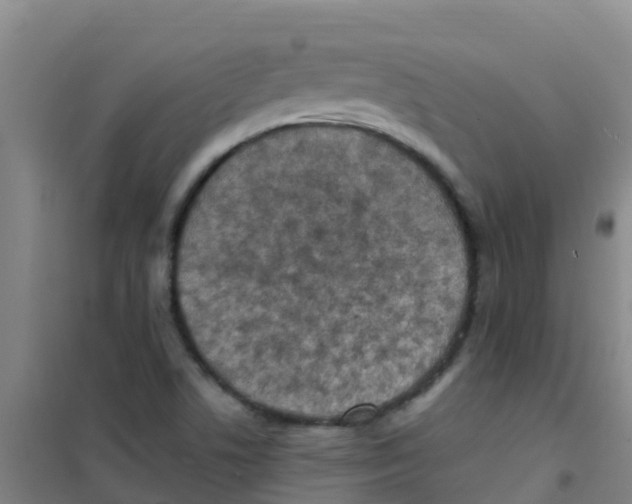 X0000100421506200807032049