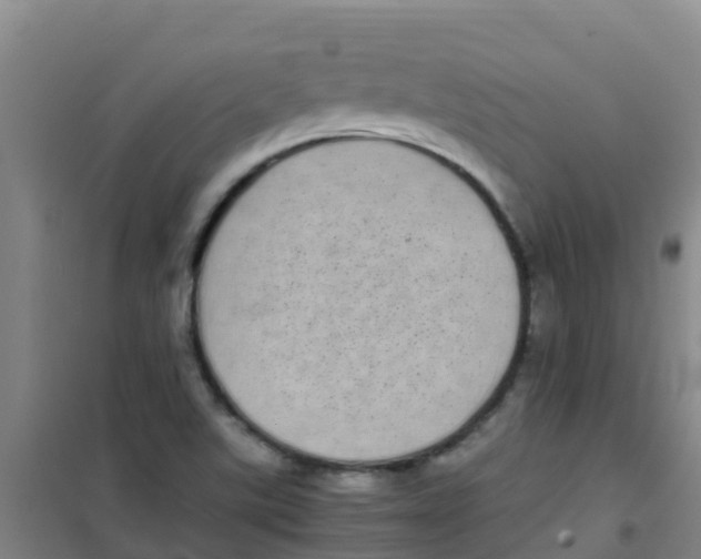 X0000100421507200807032049