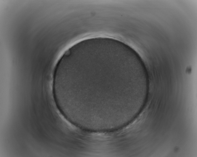 X0000100421508200807032049