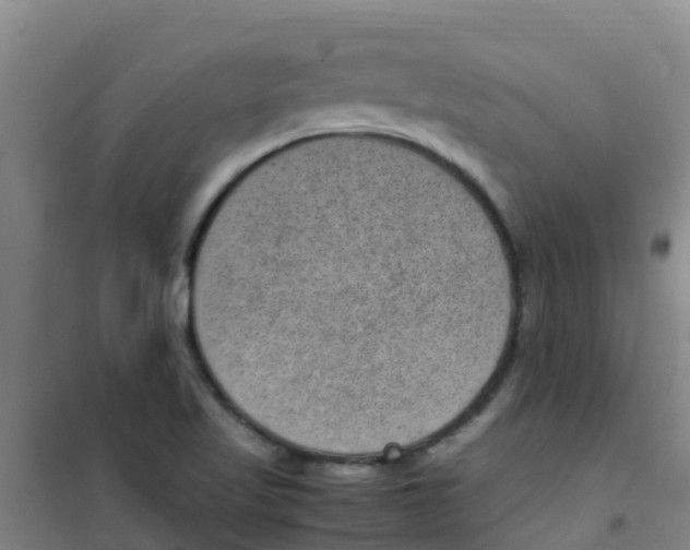 X0000100421509200807032049