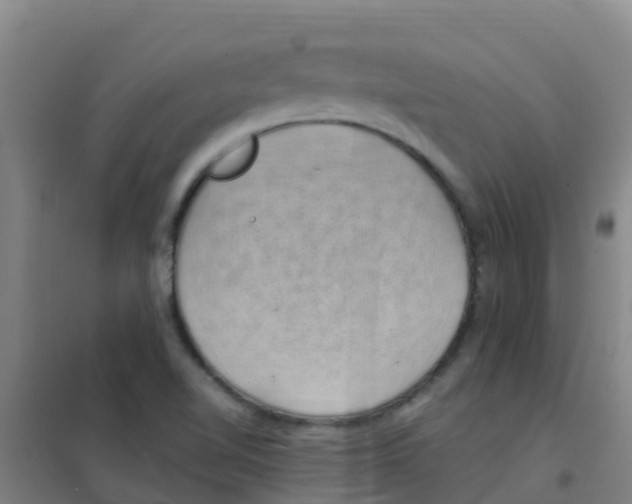 X0000100421510200807032049