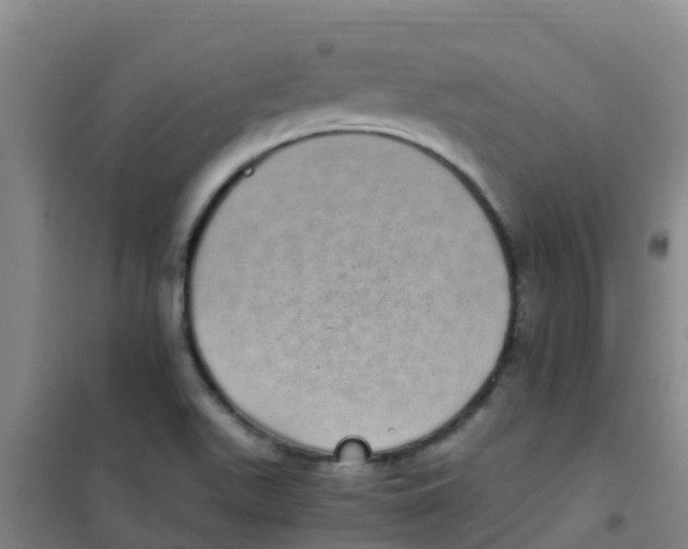 X0000100421511200807032049