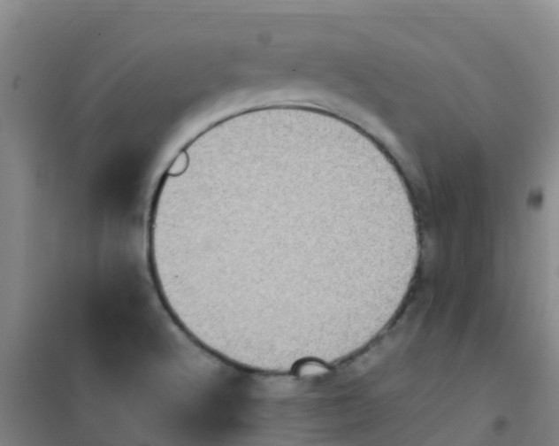 X0000100421512200807032049