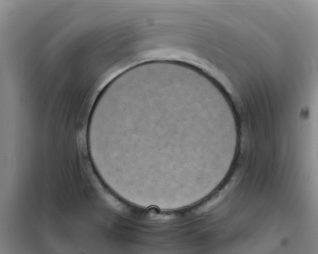 X0000100421513200807032049