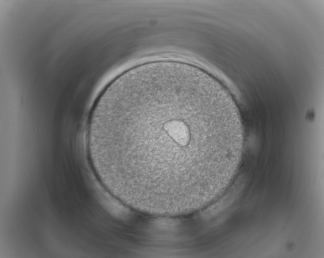 X0000100421514200807032049