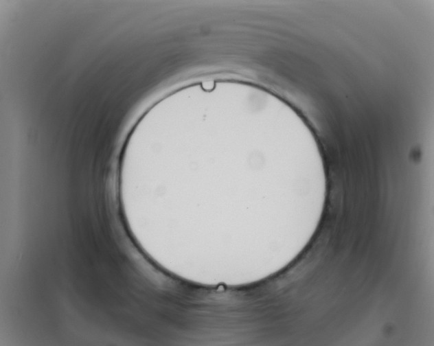 X0000100421516200807032049