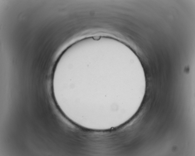 X0000100421518200807032049