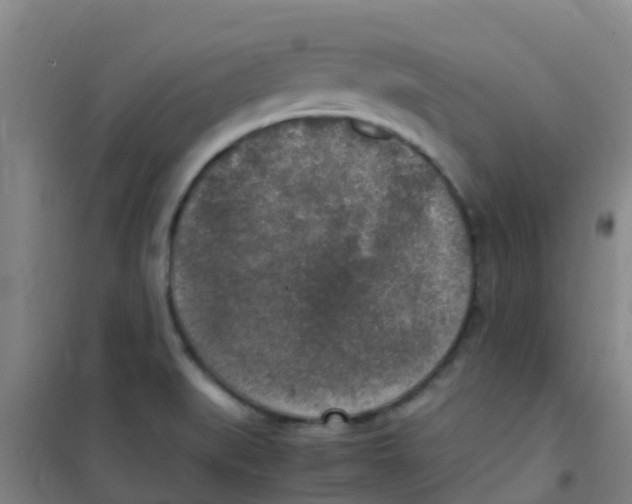 X0000100421519200807032049