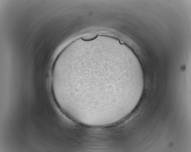 X0000100421520200807032049