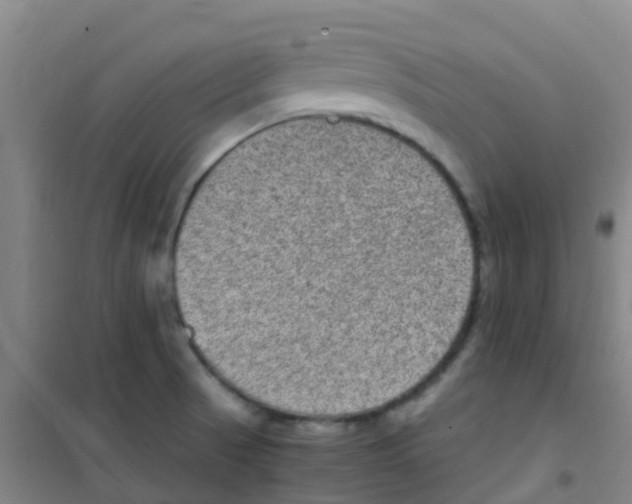 X0000100421521200807032049