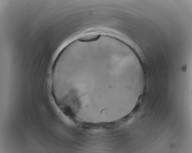 X0000100421522200807032049