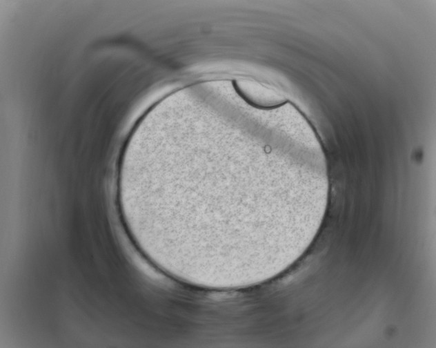 X0000100421523200807032049