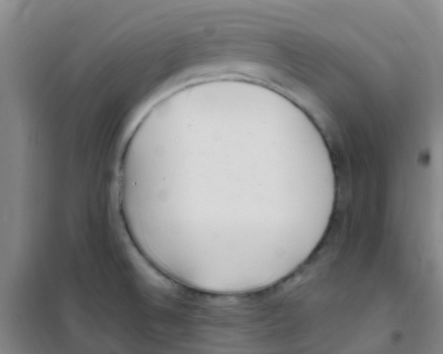 X0000100421524200807032049