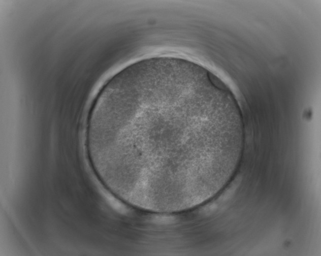 X0000100421525200807032049