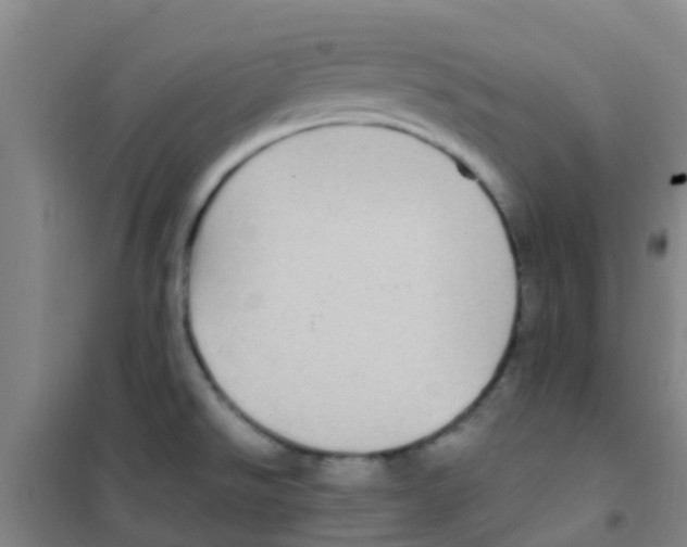 X0000100421526200807032049