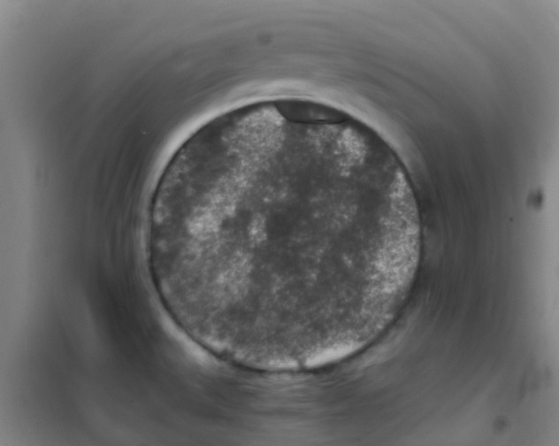 X0000100421527200807032049