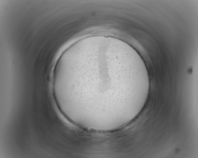 X0000100421528200807032049