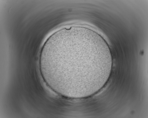 X0000100421530200807032049