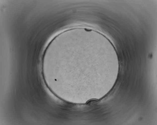 X0000100421531200807032049