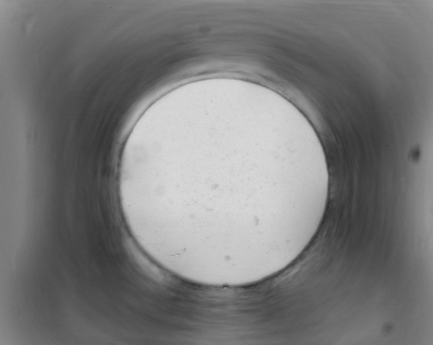 X0000100421532200807032049