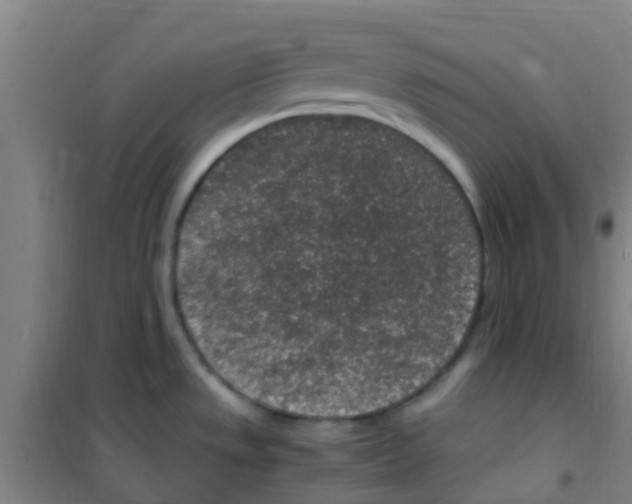 X0000100421533200807032049