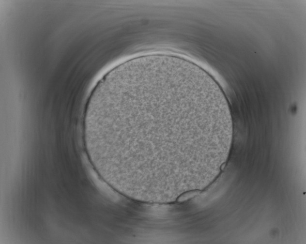 X0000100421534200807032049