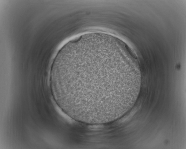 X0000100421535200807032049