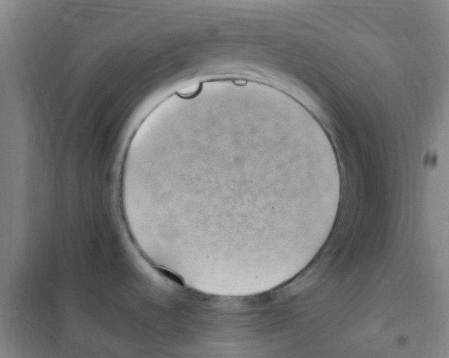 X0000100421536200807032049