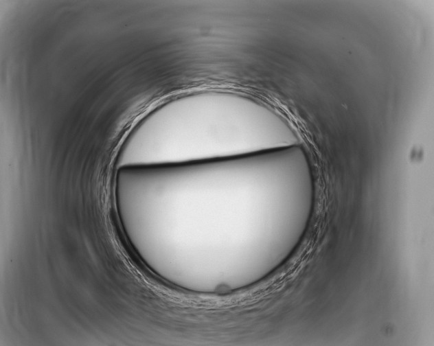 X0000100470002200806130805