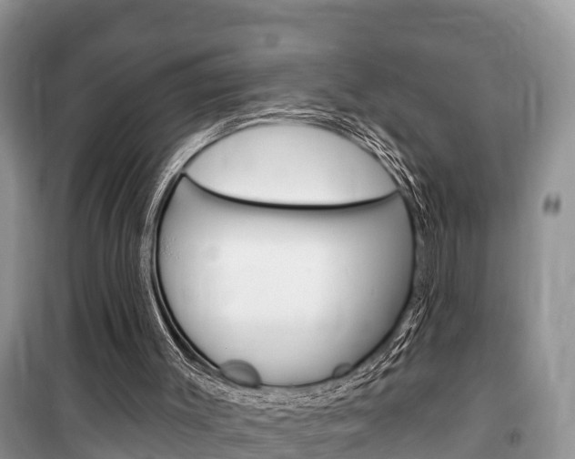 X0000100470003200806130805