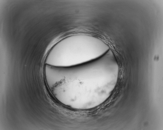 X0000100470004200806130805