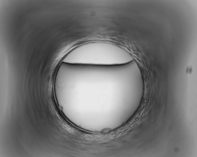 X0000100470005200806130805