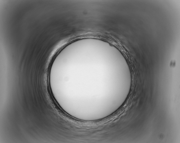 X0000100470006200806130805