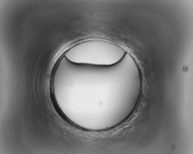 X0000100470007200806130805