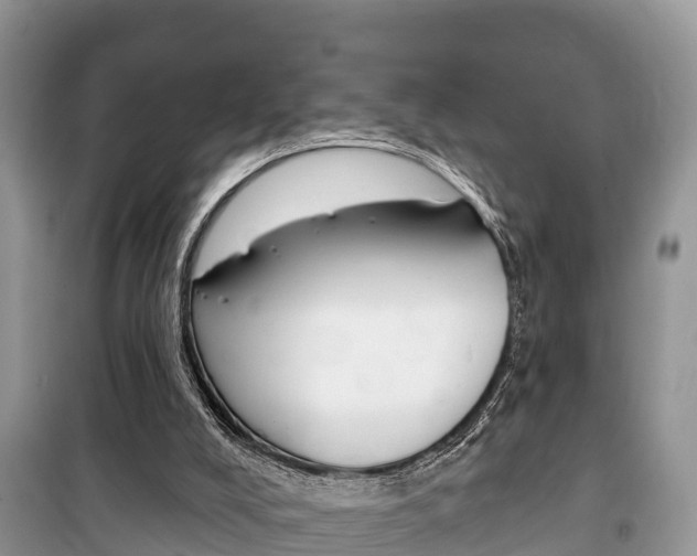 X0000100470008200806130805