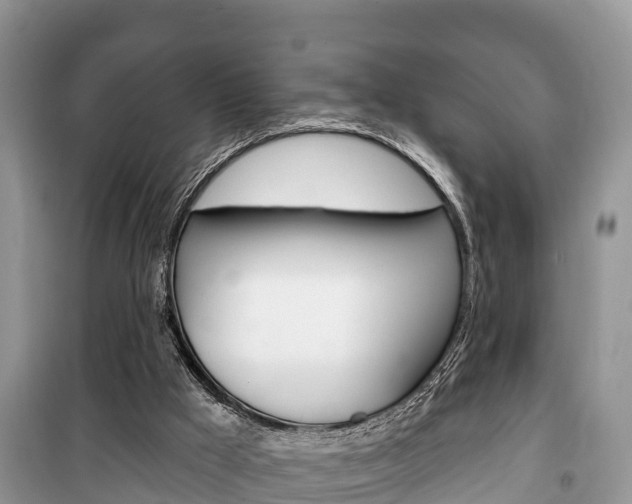 X0000100470009200806130805