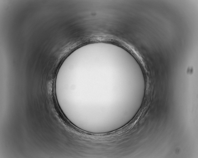 X0000100470010200806130805