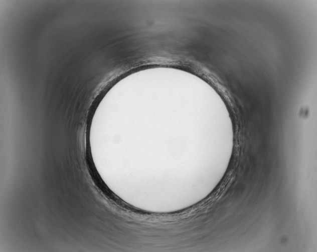 X0000100470011200806130805