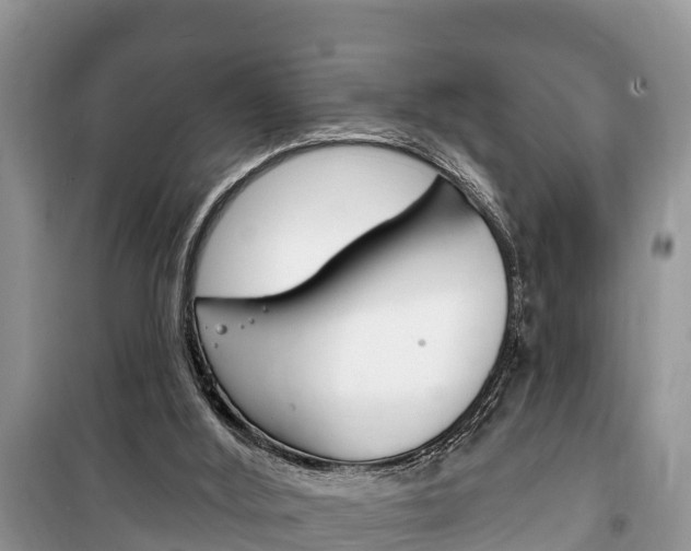 X0000100470012200806130805
